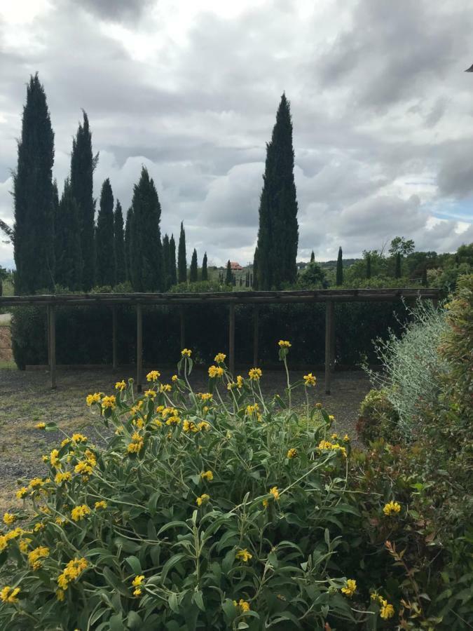 Casa Vacanze Casale al Pino Riparbella Esterno foto